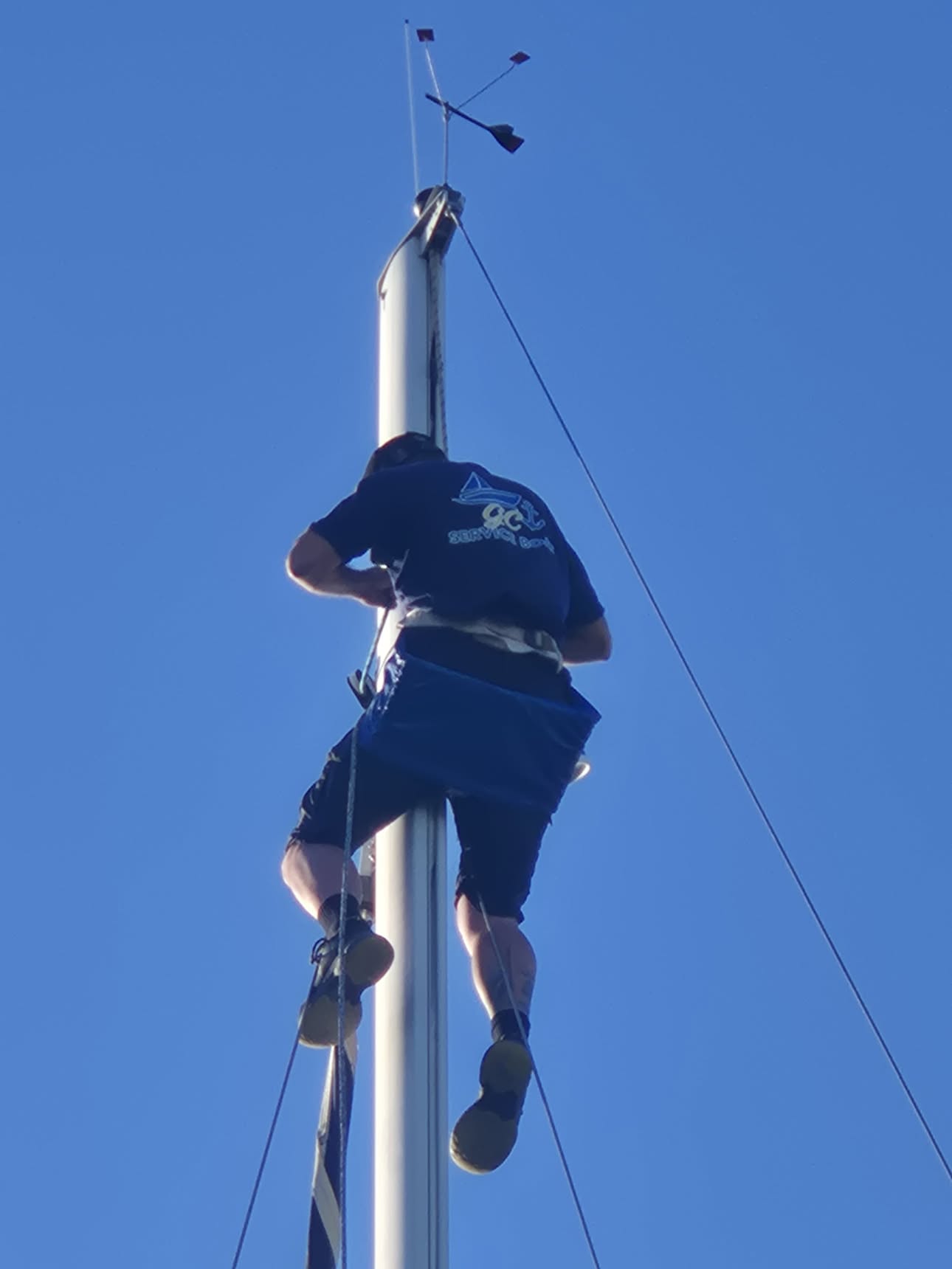 Lavoro in testa d'albero